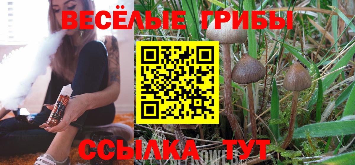 COCAIN Камышин