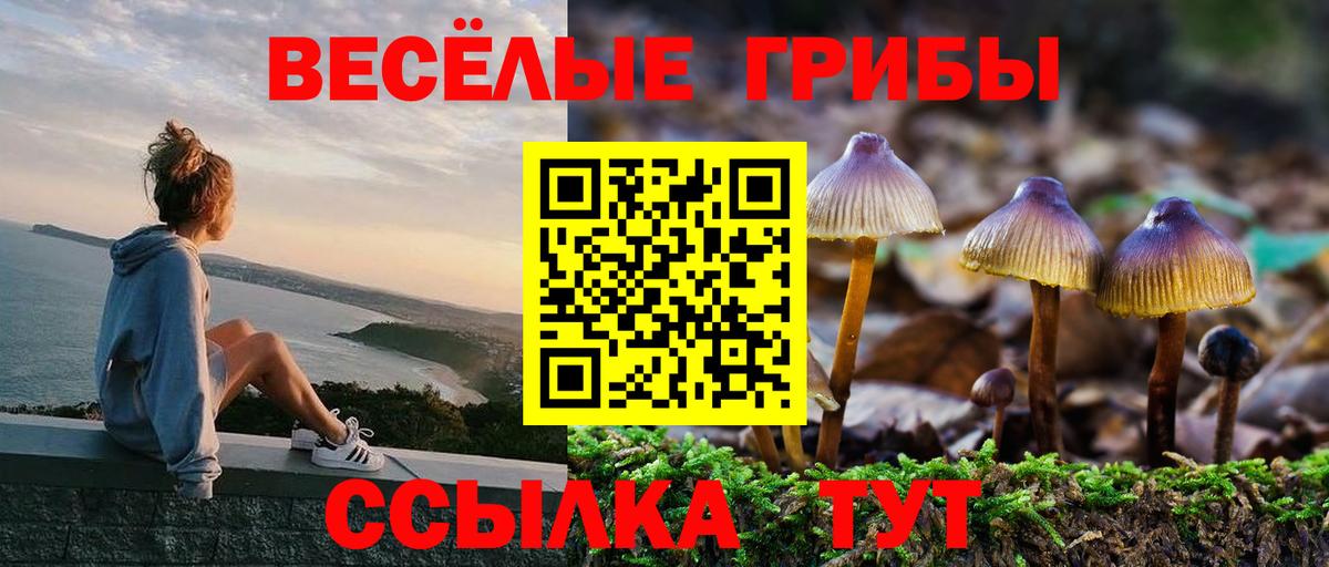 даркнет сайт  Псилоцибиновые грибы ЛСД  Вход с VPN  Камышин 